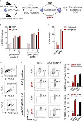 Rapid and Efficient Gene Editing for Direct Transplantation of Naive Murine Cas9+ T Cells